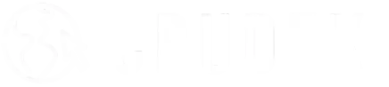 Crudex logo